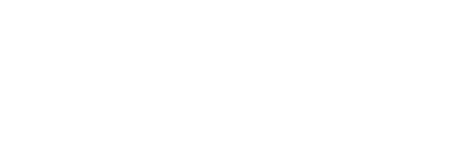 TickooPlug